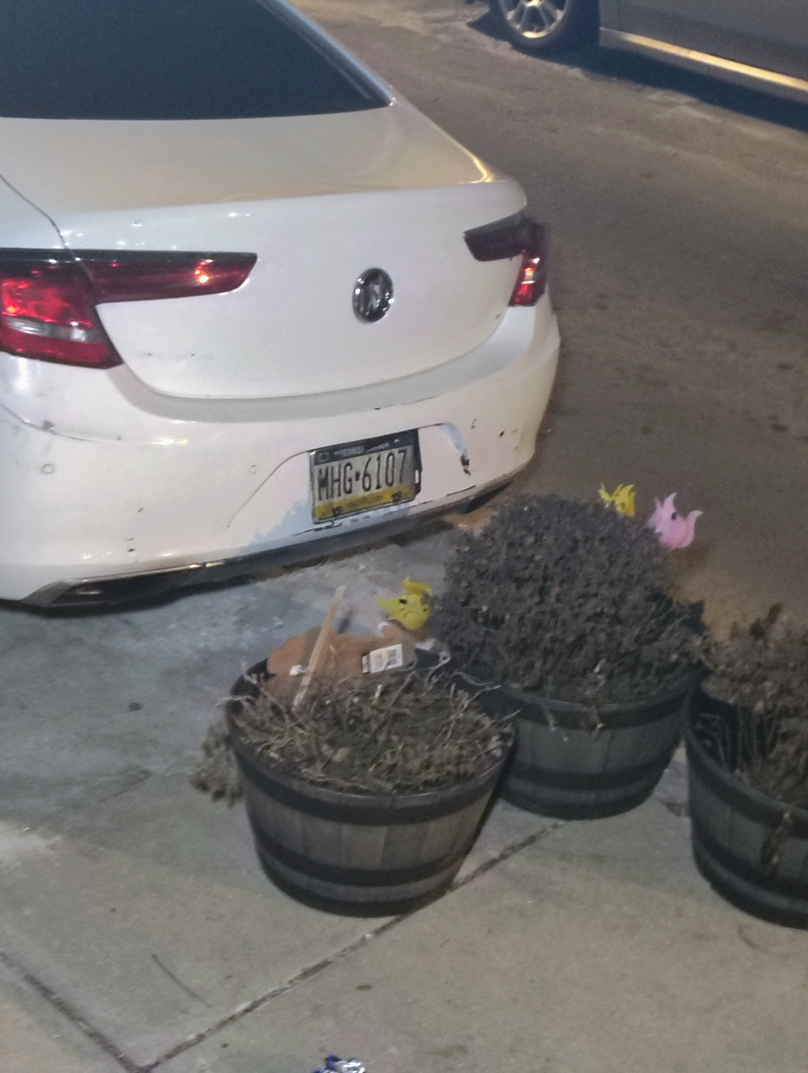 Photographic documentation of the work as submitted to the city's 311 record.