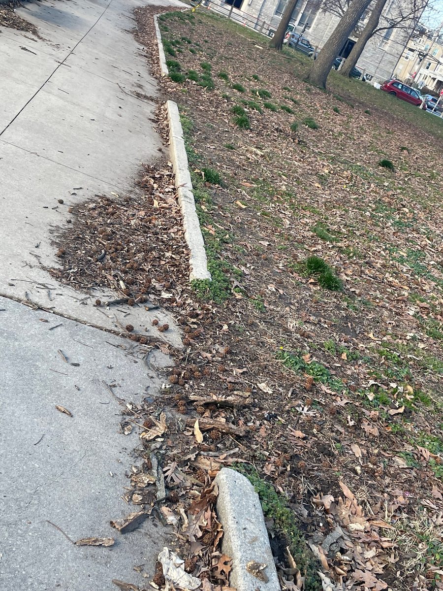 Photographic documentation of the work as submitted to the city's 311 record.