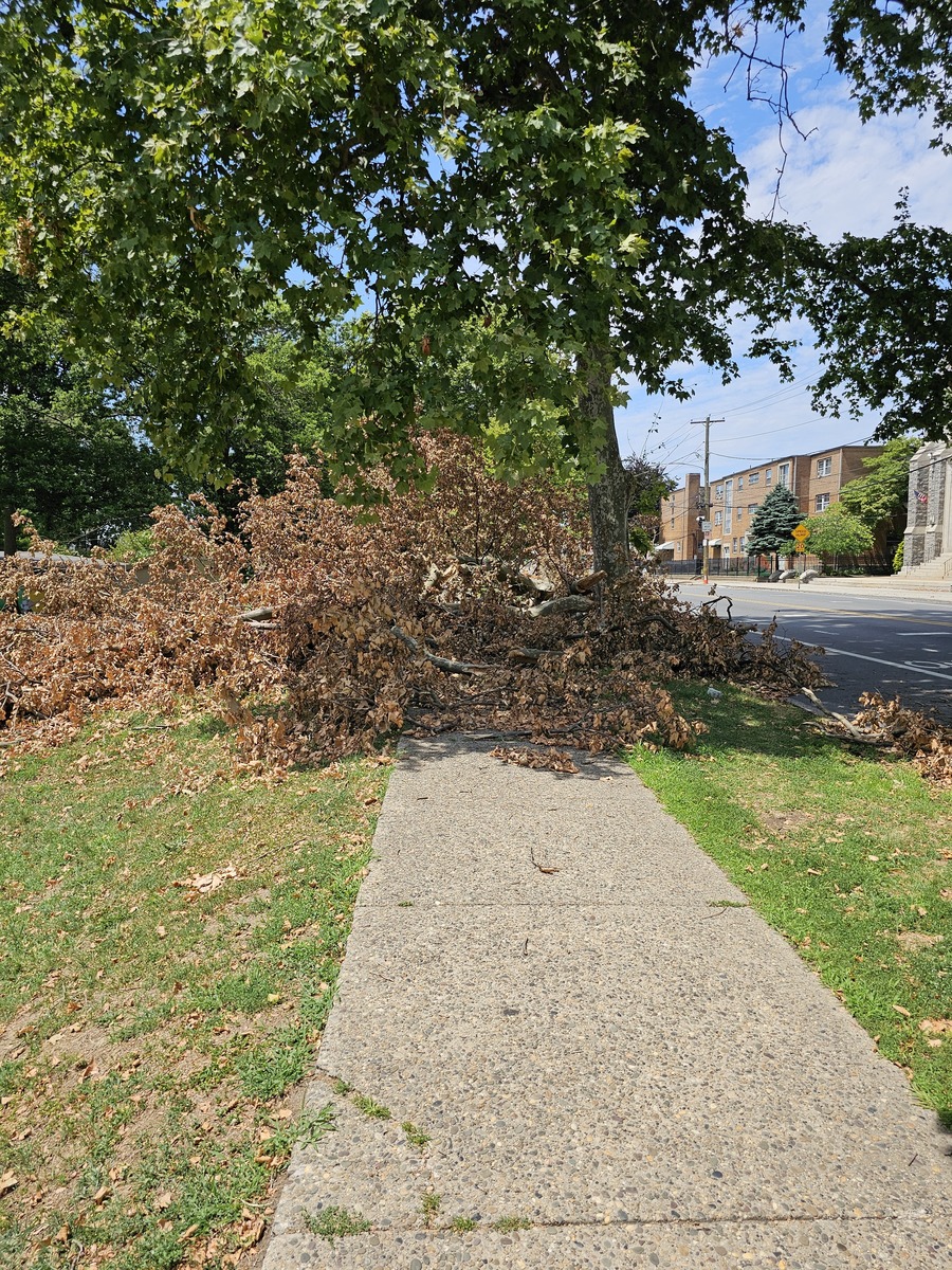 Photographic documentation of the work as submitted to the city's 311 record.