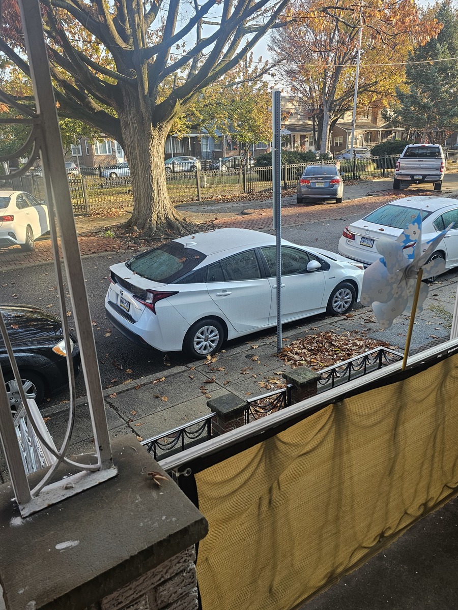 Photographic documentation of the work as submitted to the city's 311 record.
