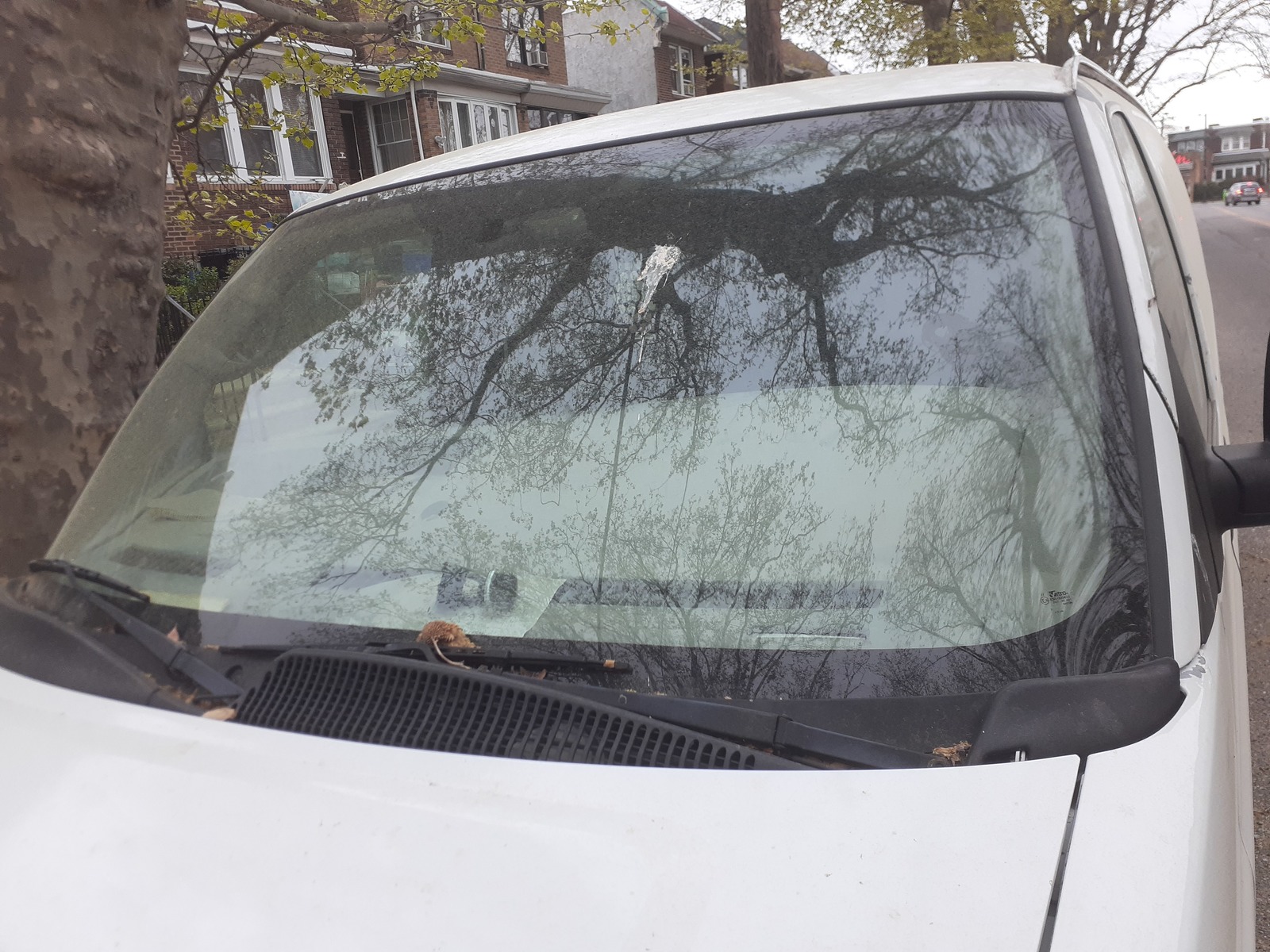 Photographic documentation of the work as submitted to the city's 311 record.
