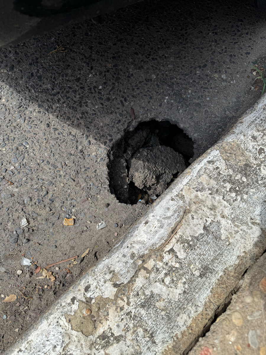 Photographic documentation of the work as submitted to the city's 311 record.
