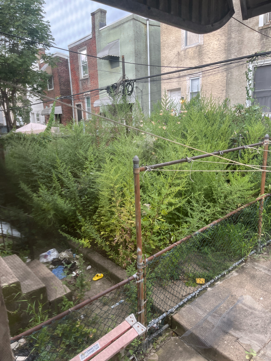 Photographic documentation of the work as submitted to the city's 311 record.