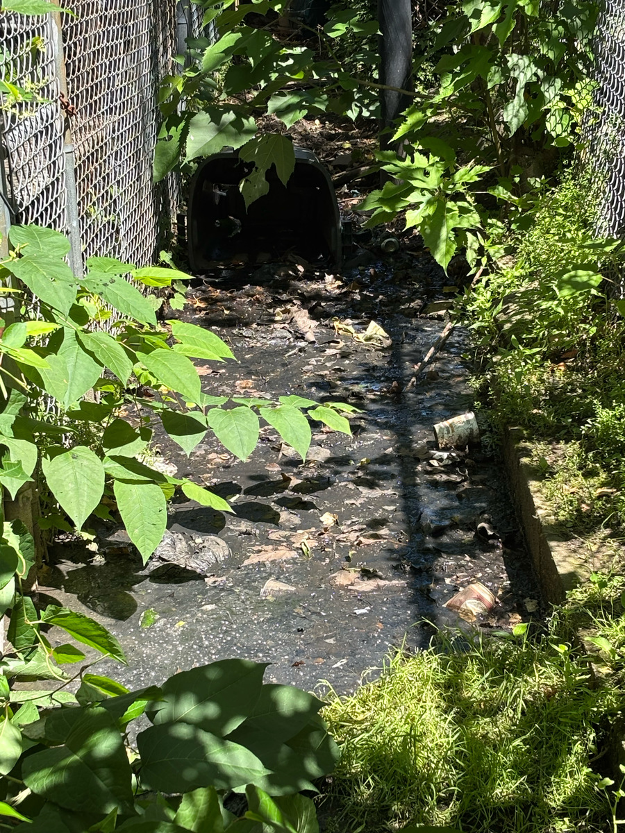 Photographic documentation of the work as submitted to the city's 311 record.
