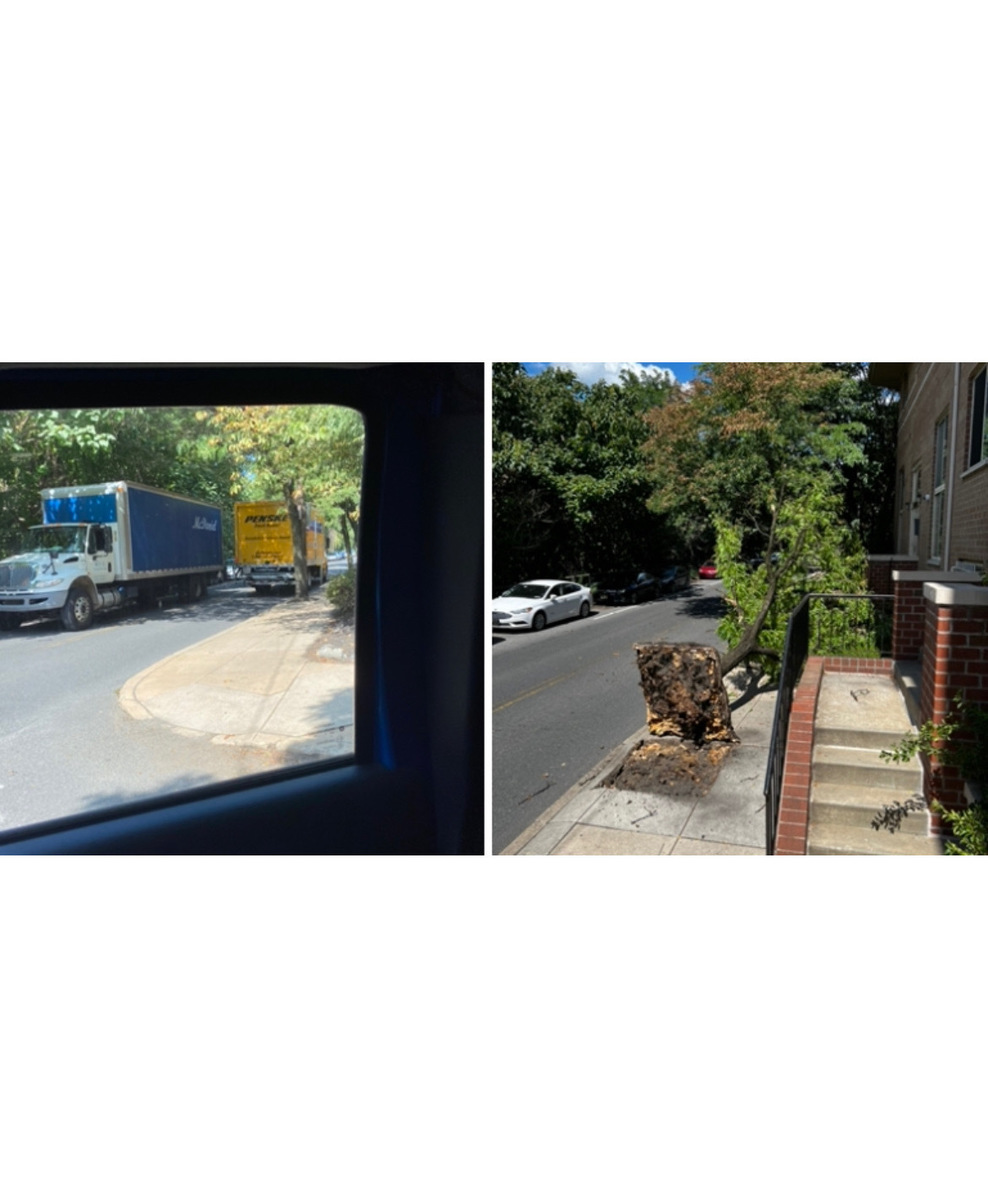 Photographic documentation of the work as submitted to the city's 311 record.