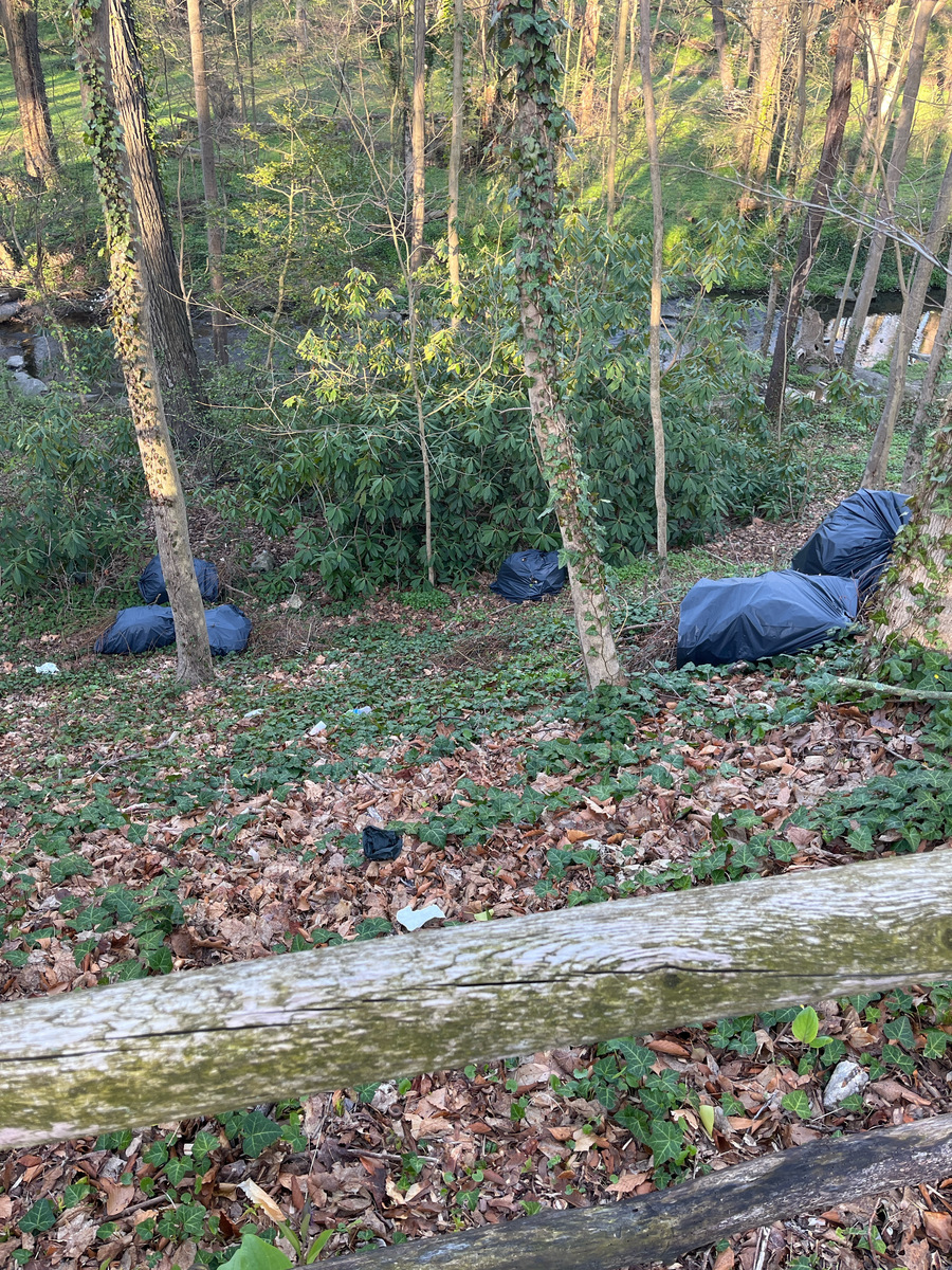 Photographic documentation of the work as submitted to the city's 311 record.