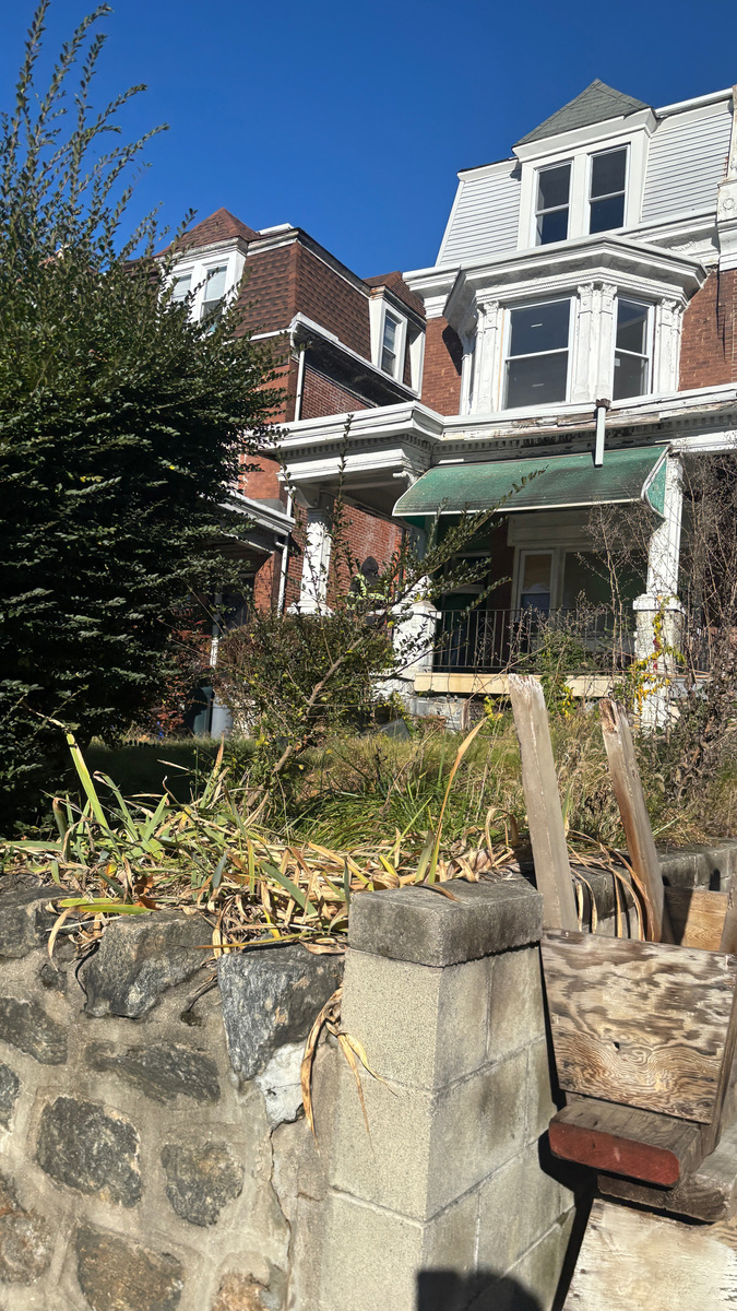 Photographic documentation of the work as submitted to the city's 311 record.