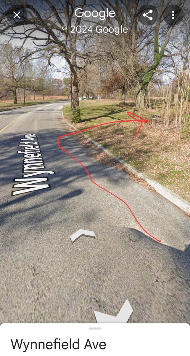 Photographic documentation of the work as submitted to the city's 311 record.