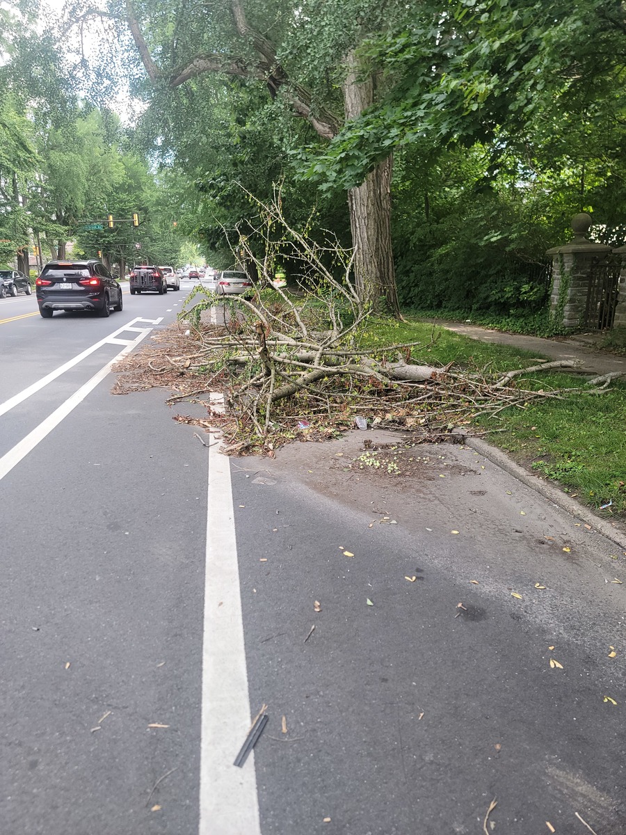 Photographic documentation of the work as submitted to the city's 311 record.