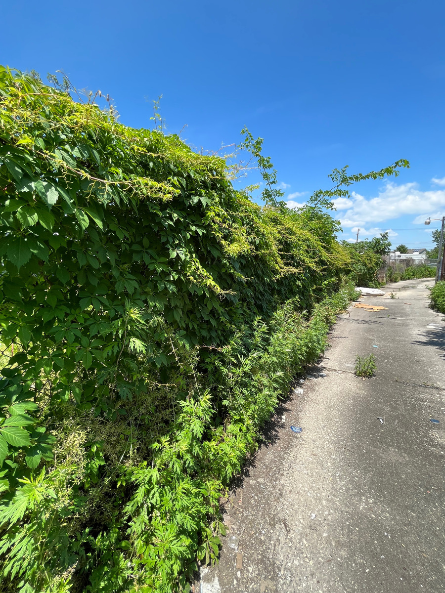 Photographic documentation of the work as submitted to the city's 311 record.