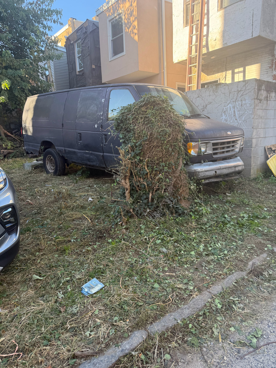 Photographic documentation of the work as submitted to the city's 311 record.