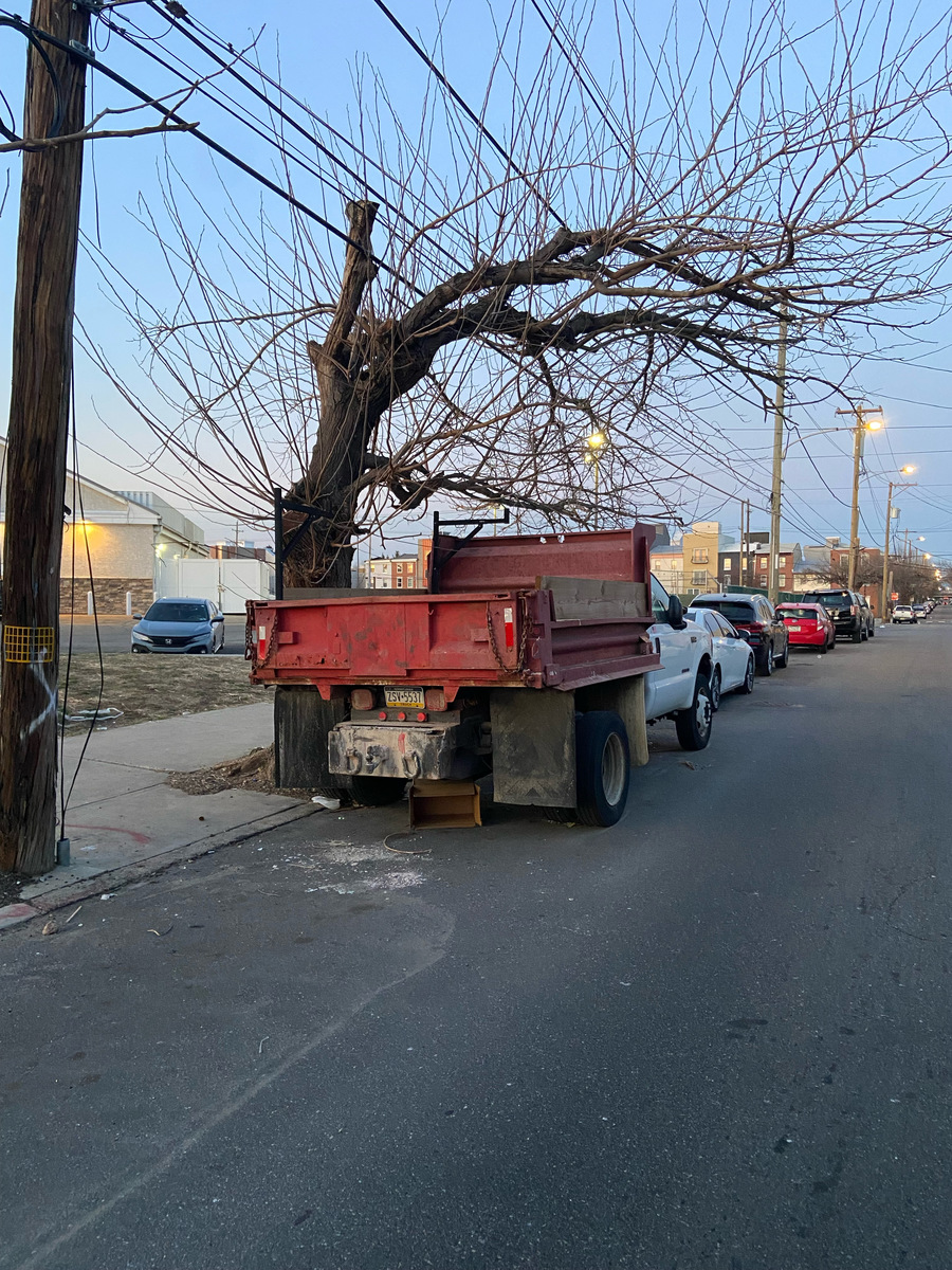 Photographic documentation of the work as submitted to the city's 311 record.