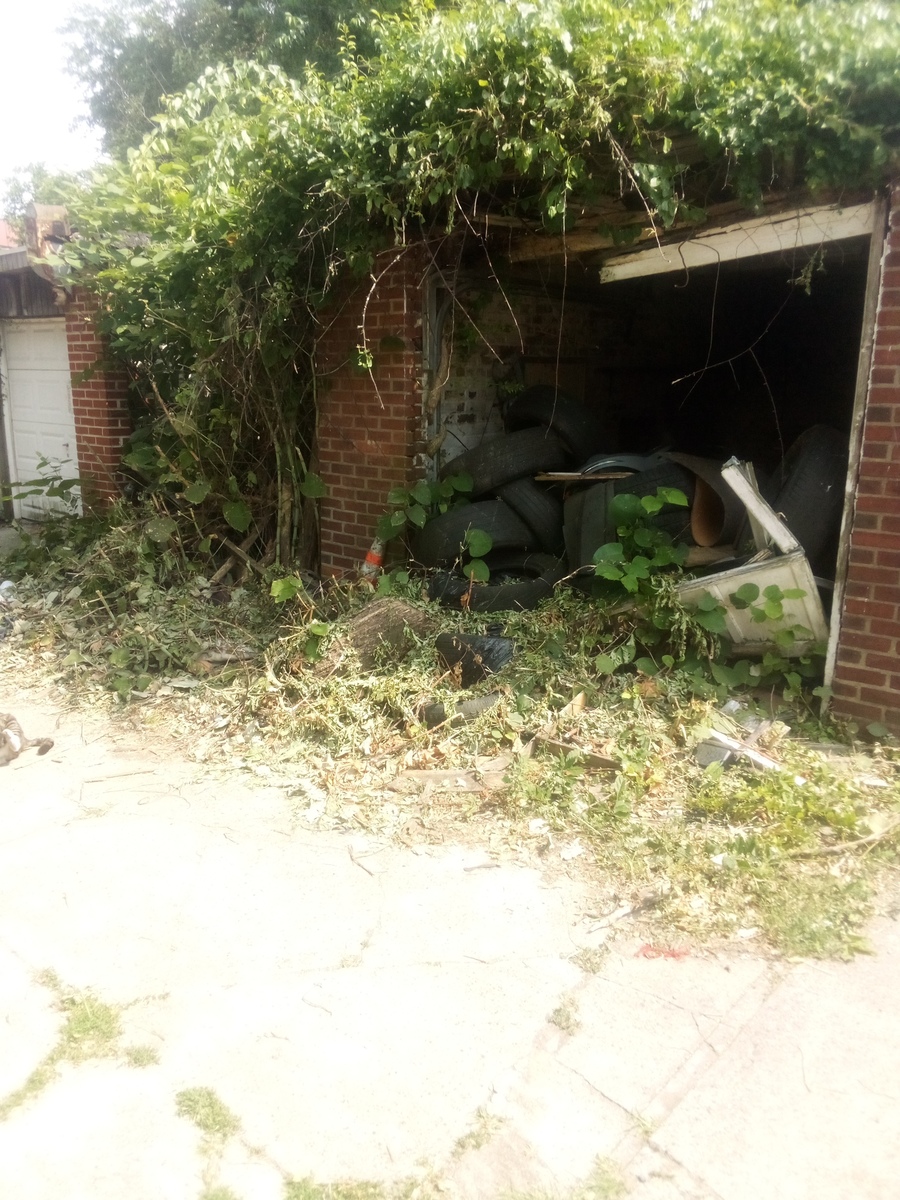 Photographic documentation of the work as submitted to the city's 311 record.