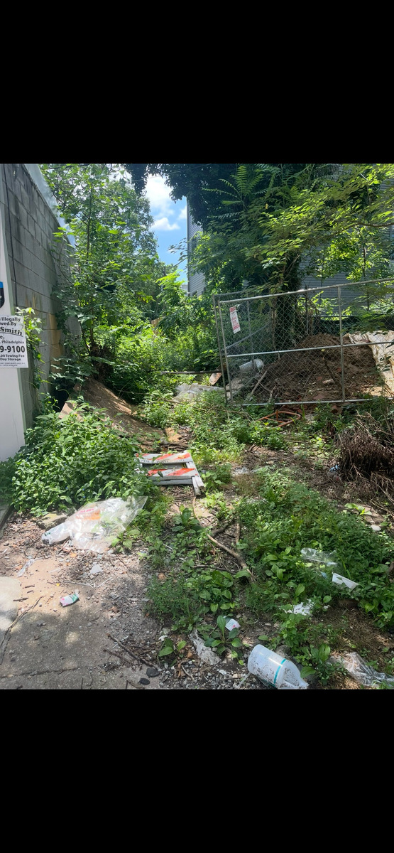 Photographic documentation of the work as submitted to the city's 311 record.
