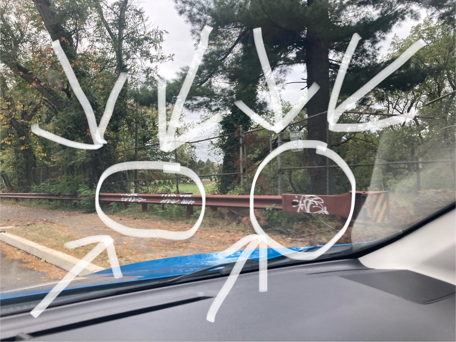Photographic documentation of the work as submitted to the city's 311 record.