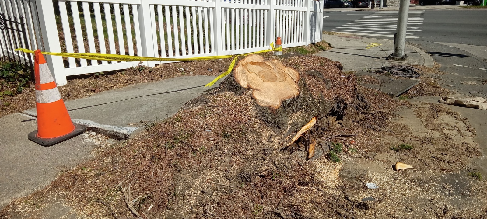 Photographic documentation of the work as submitted to the city's 311 record.