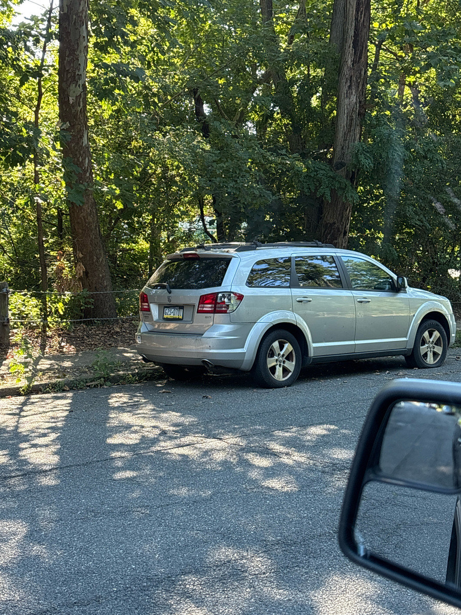 Photographic documentation of the work as submitted to the city's 311 record.