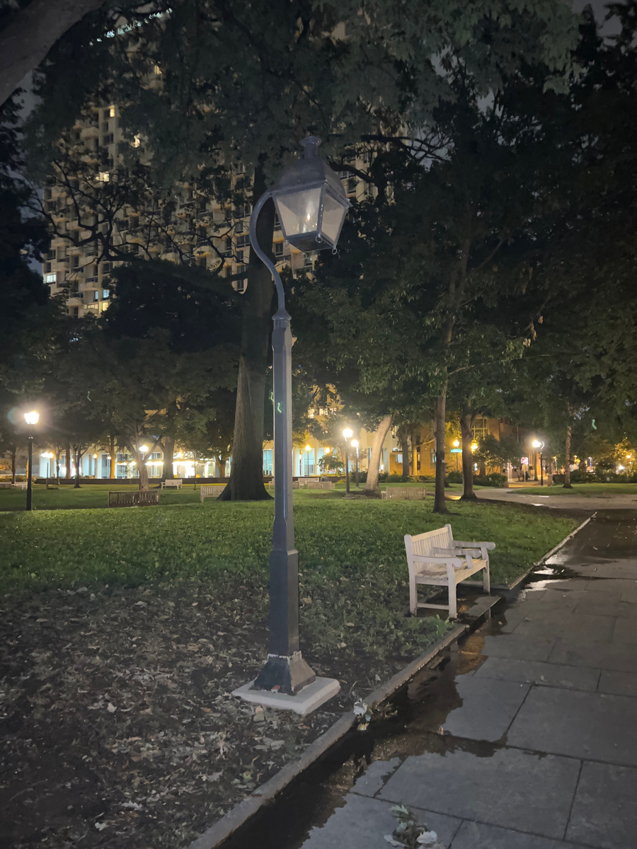 Photographic documentation of the work as submitted to the city's 311 record.