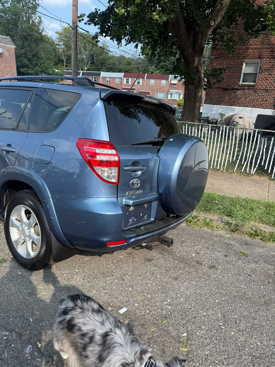 Photographic documentation of the work as submitted to the city's 311 record.