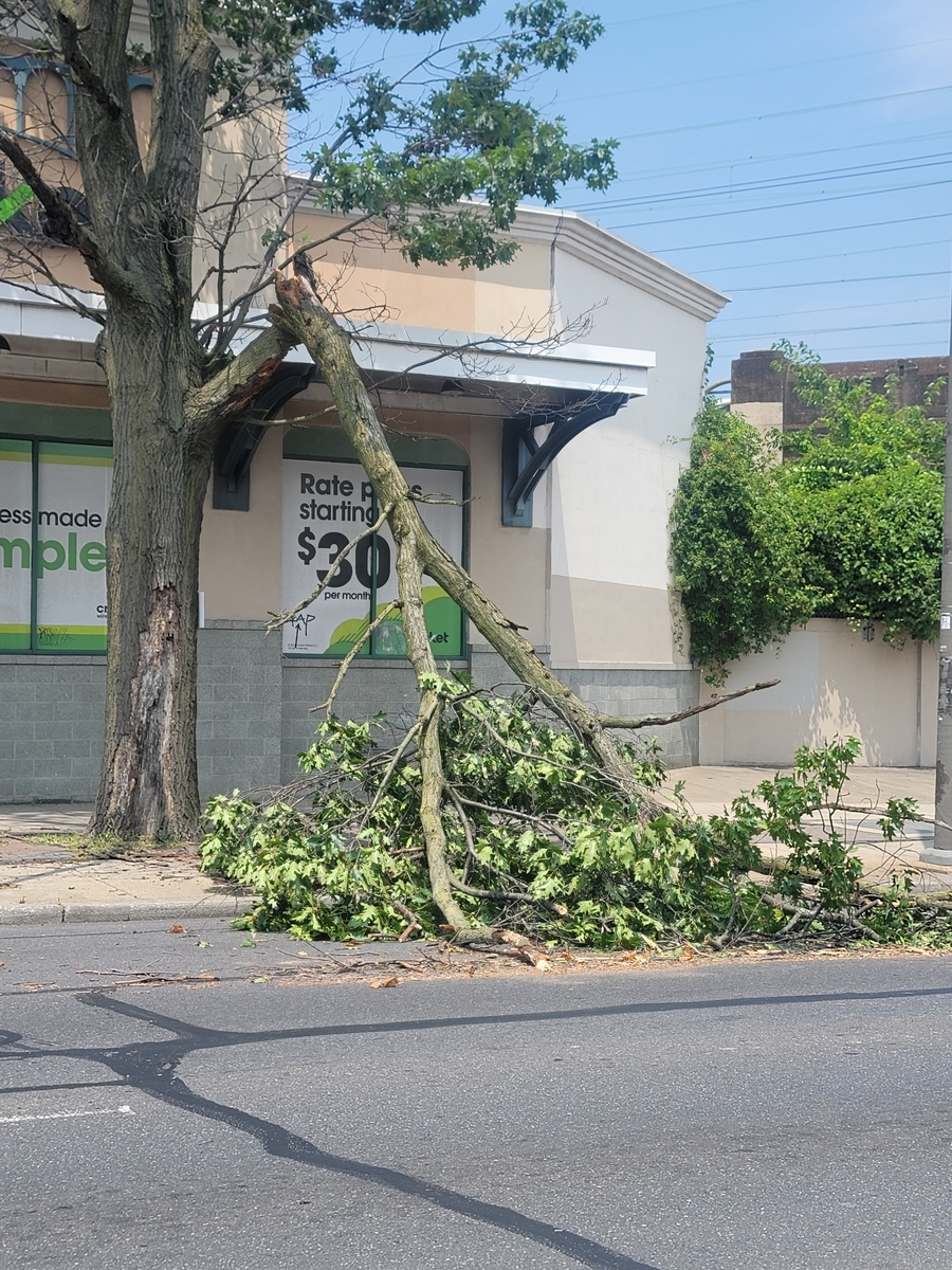 Photographic documentation of the work as submitted to the city's 311 record.