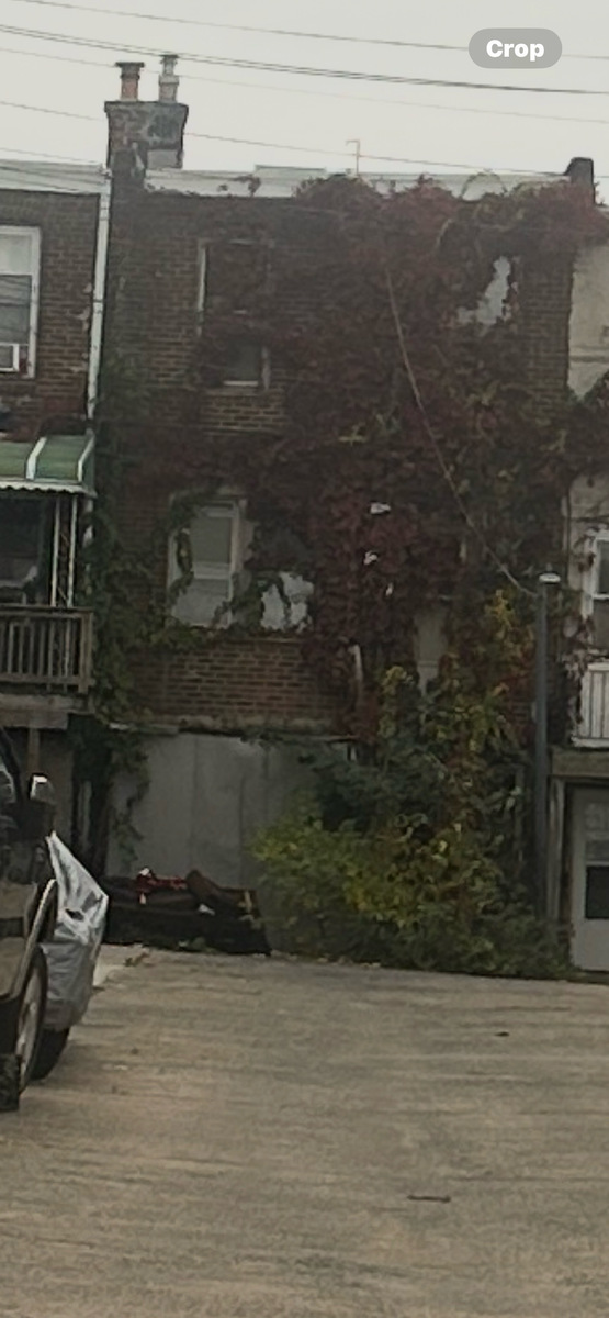 Photographic documentation of the work as submitted to the city's 311 record.