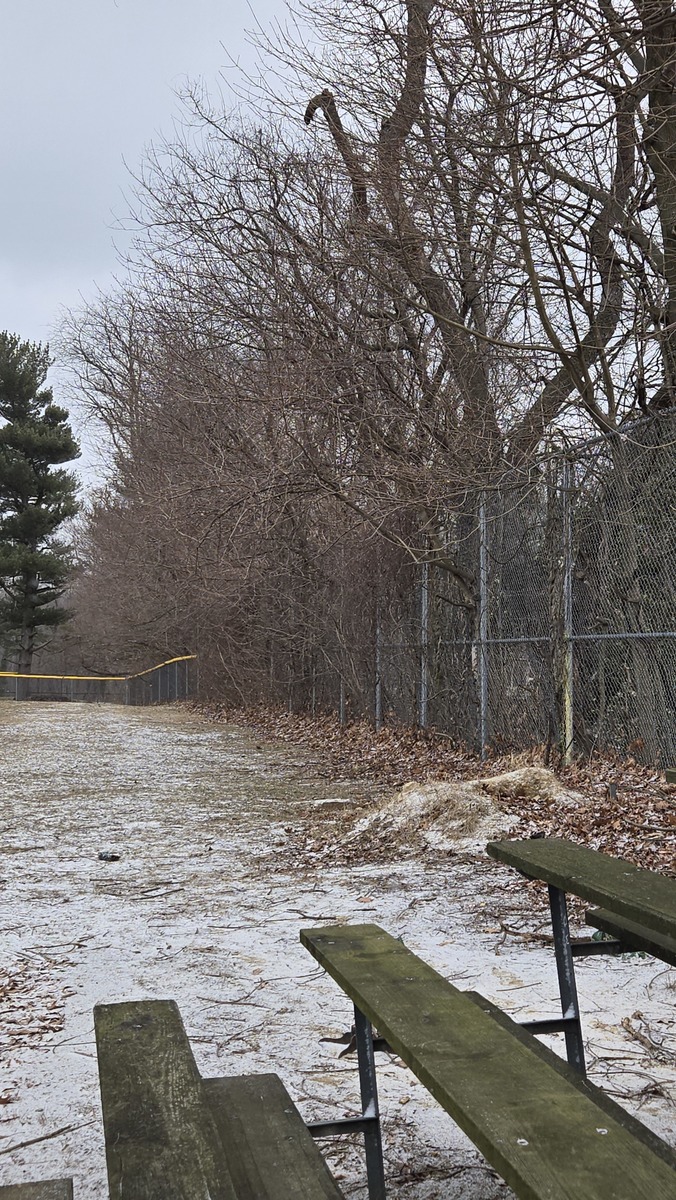 Photographic documentation of the work as submitted to the city's 311 record.