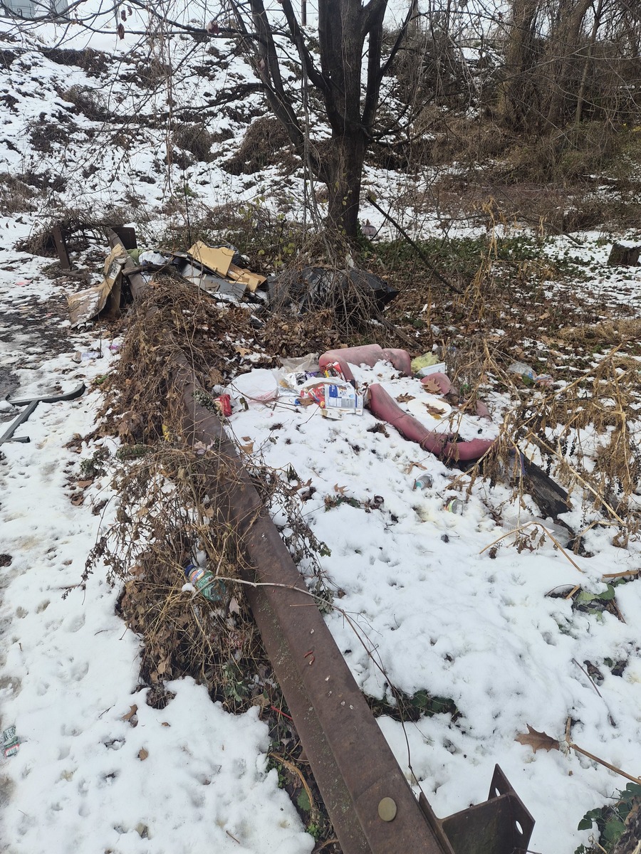 Photographic documentation of the work as submitted to the city's 311 record.