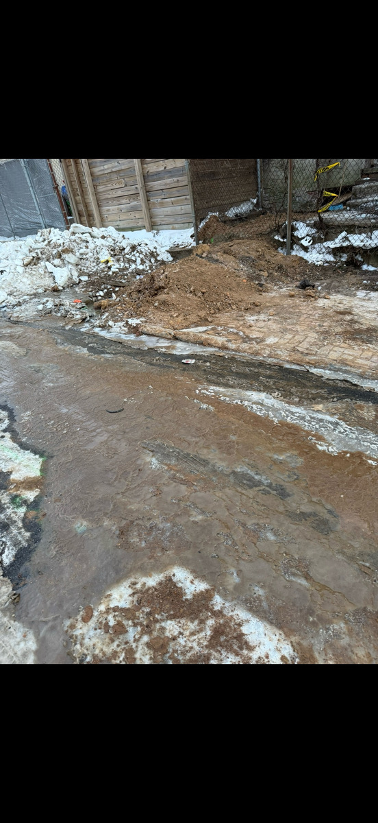 Photographic documentation of the work as submitted to the city's 311 record.
