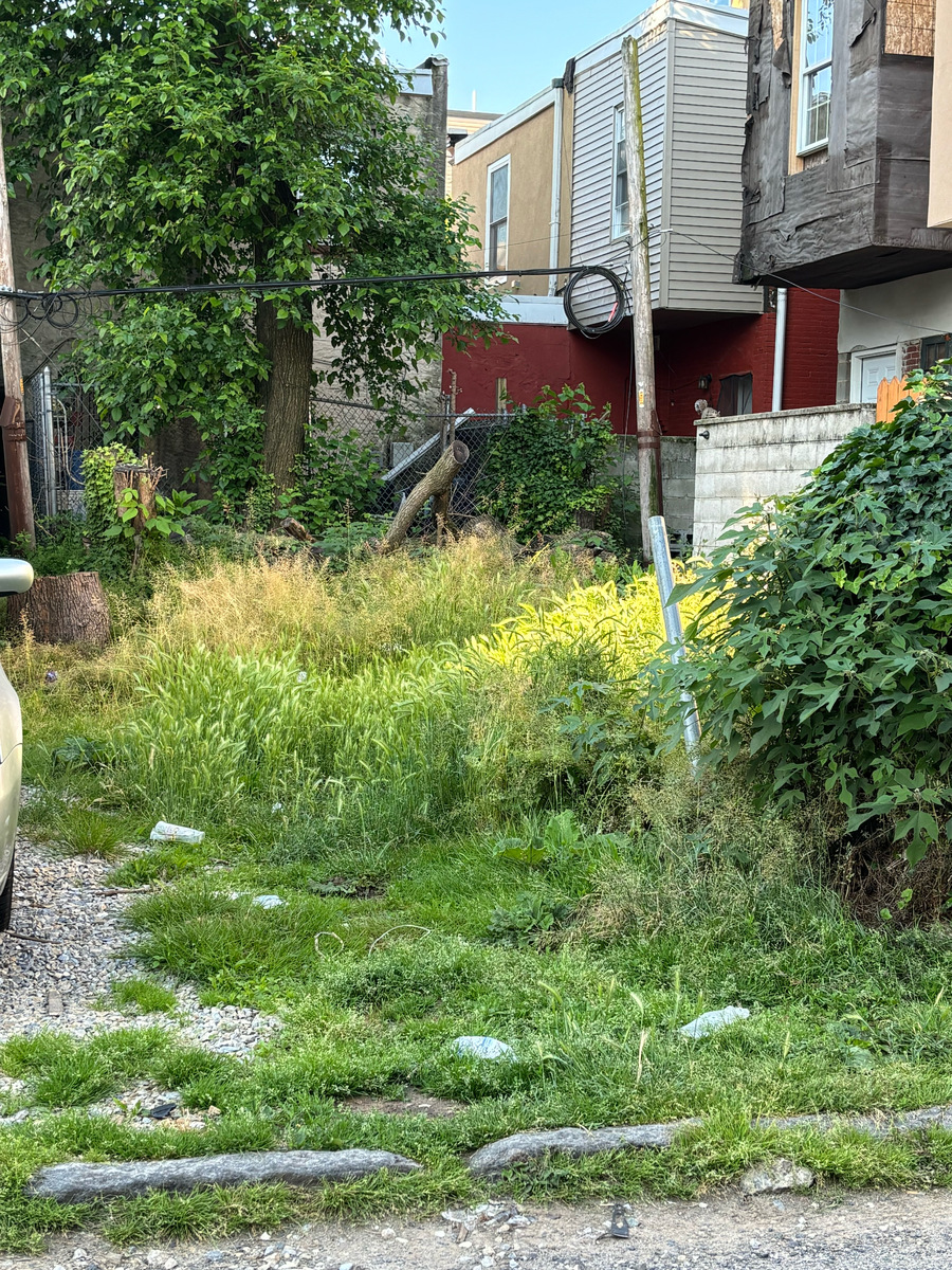 Photographic documentation of the work as submitted to the city's 311 record.