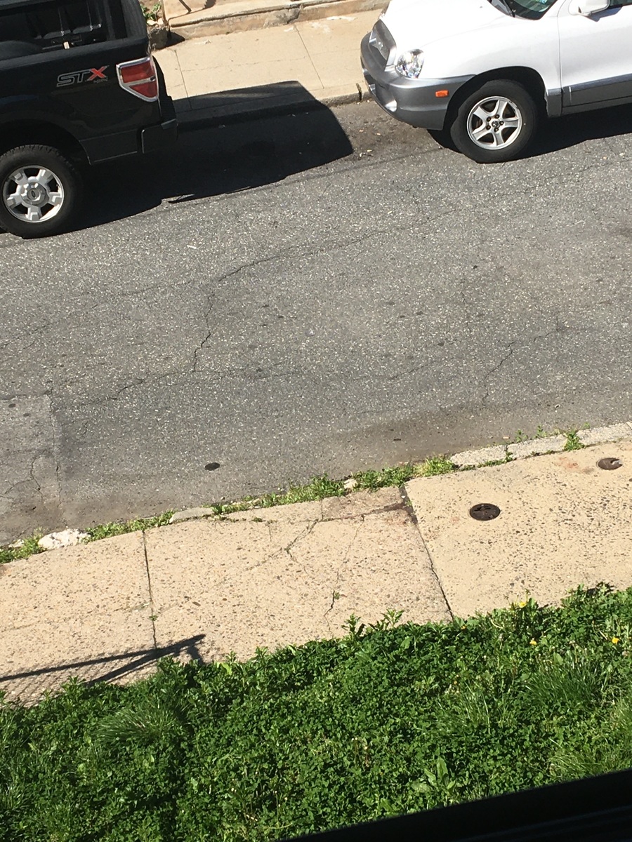 Photographic documentation of the work as submitted to the city's 311 record.