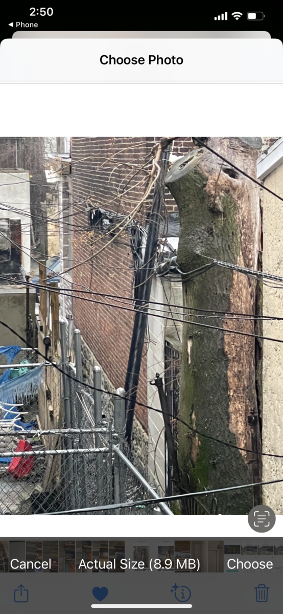 Photographic documentation of the work as submitted to the city's 311 record.