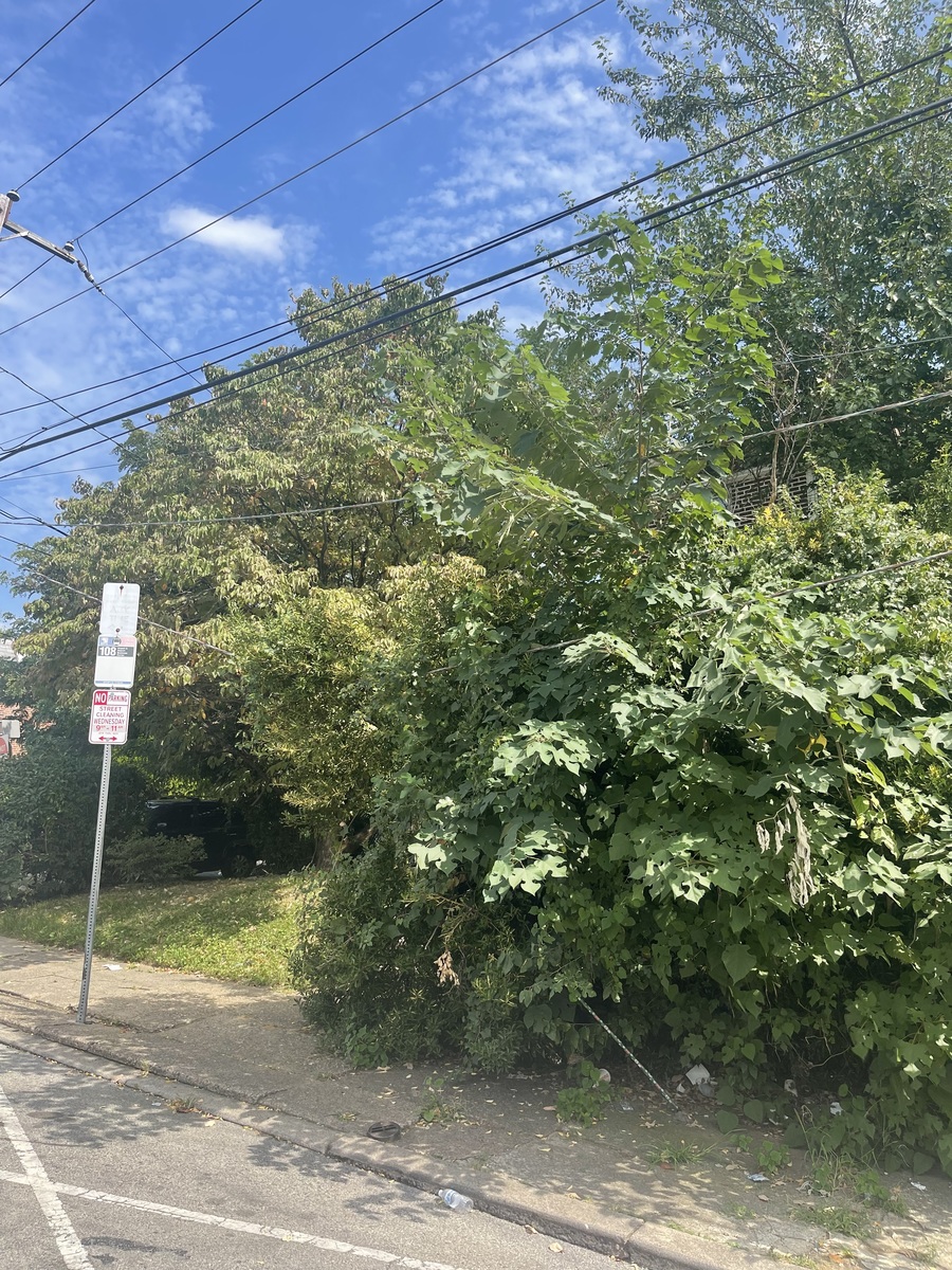Photographic documentation of the work as submitted to the city's 311 record.