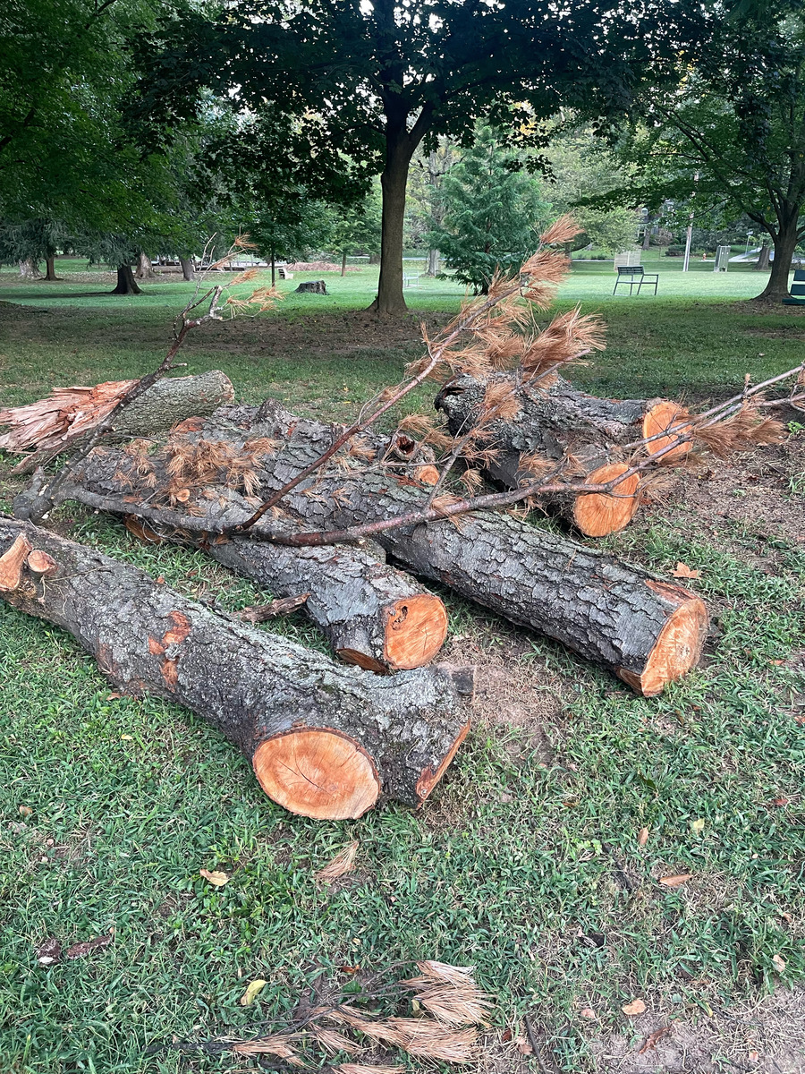 Photographic documentation of the work as submitted to the city's 311 record.