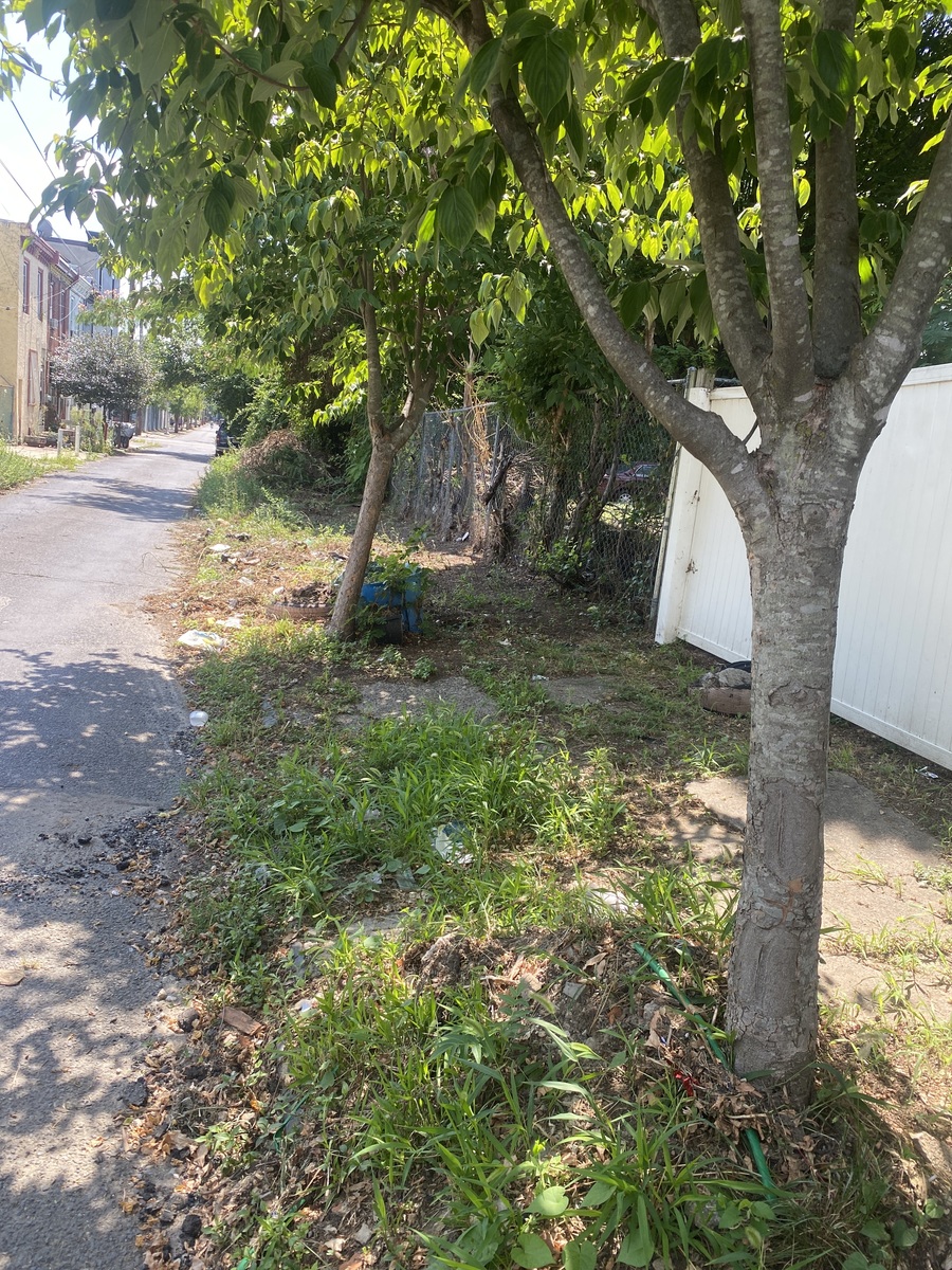 Photographic documentation of the work as submitted to the city's 311 record.