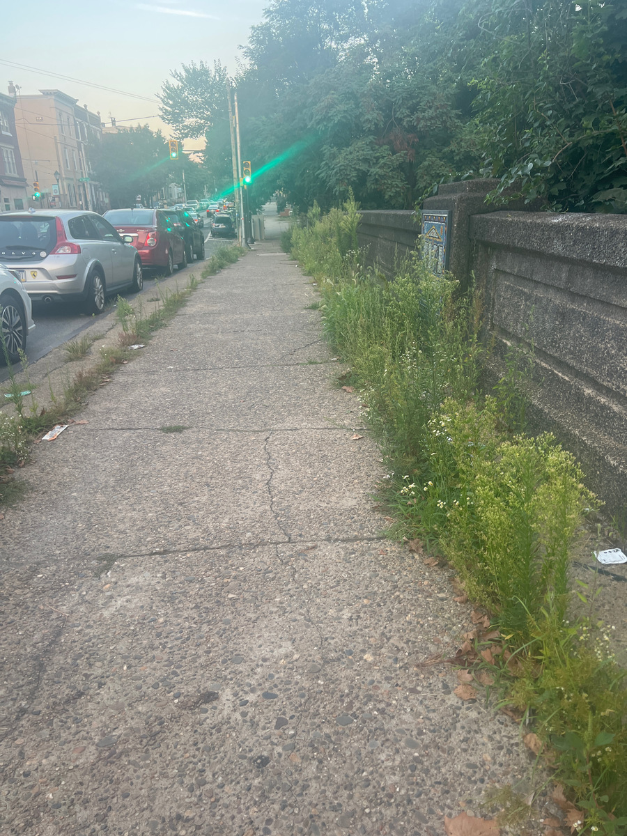 Photographic documentation of the work as submitted to the city's 311 record.
