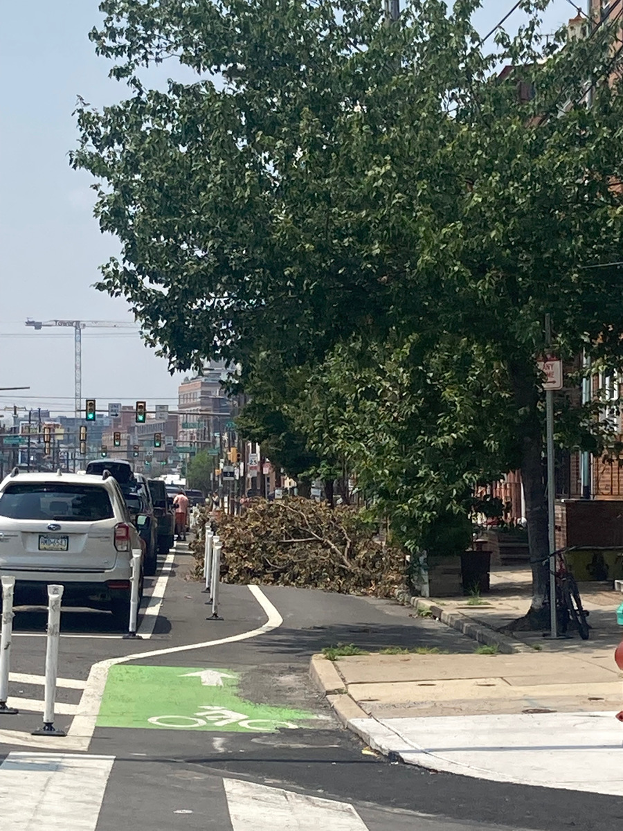 Photographic documentation of the work as submitted to the city's 311 record.