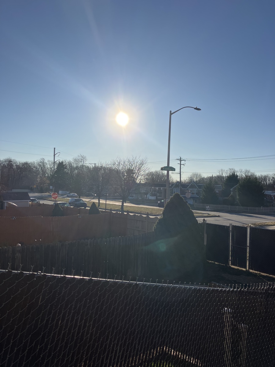 Photographic documentation of the work as submitted to the city's 311 record.