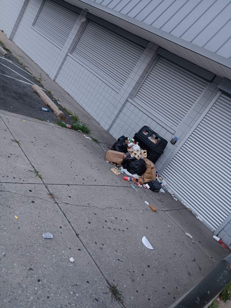 Photographic documentation of the work as submitted to the city's 311 record.