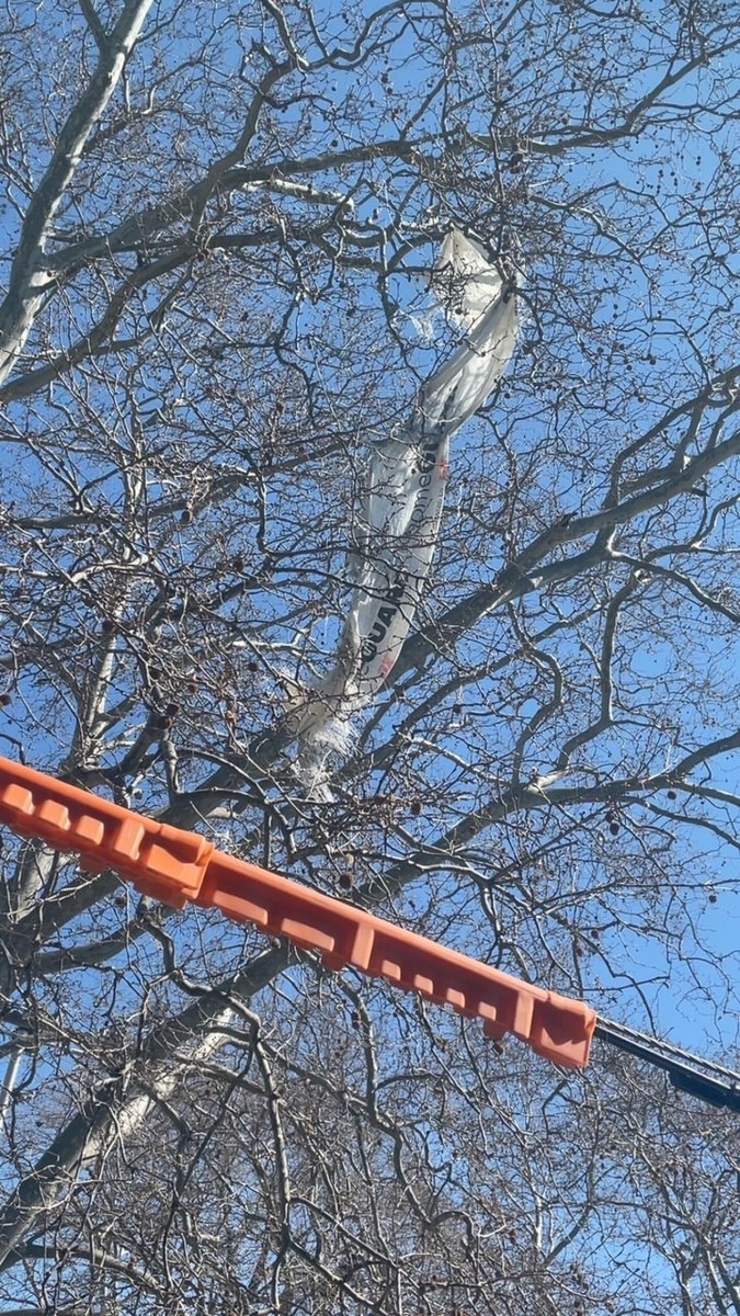 Photographic documentation of the work as submitted to the city's 311 record.