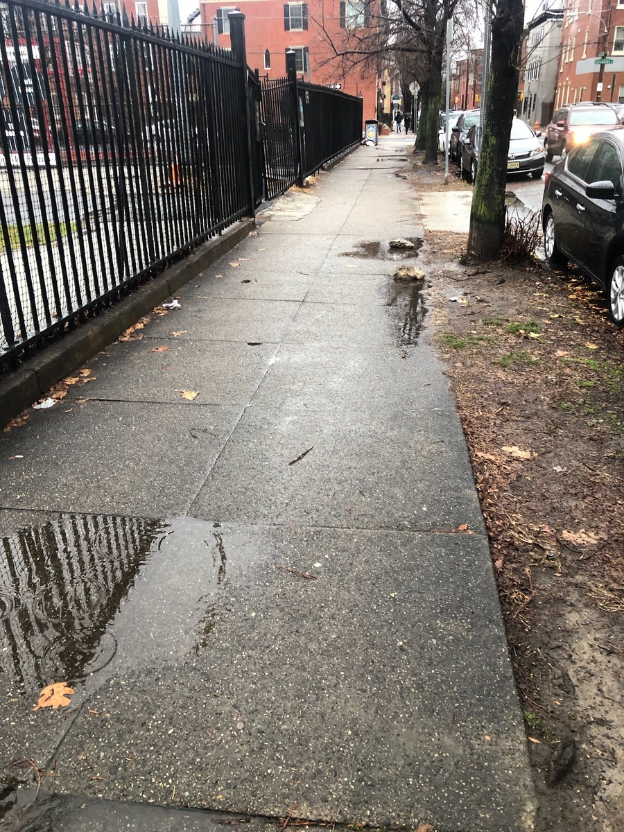 Photographic documentation of the work as submitted to the city's 311 record.