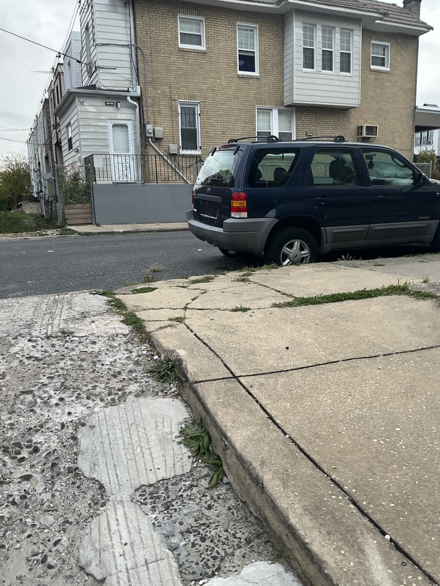 Photographic documentation of the work as submitted to the city's 311 record.