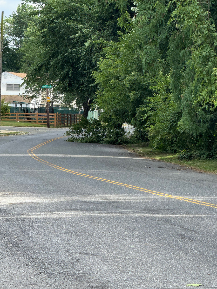 Photographic documentation of the work as submitted to the city's 311 record.