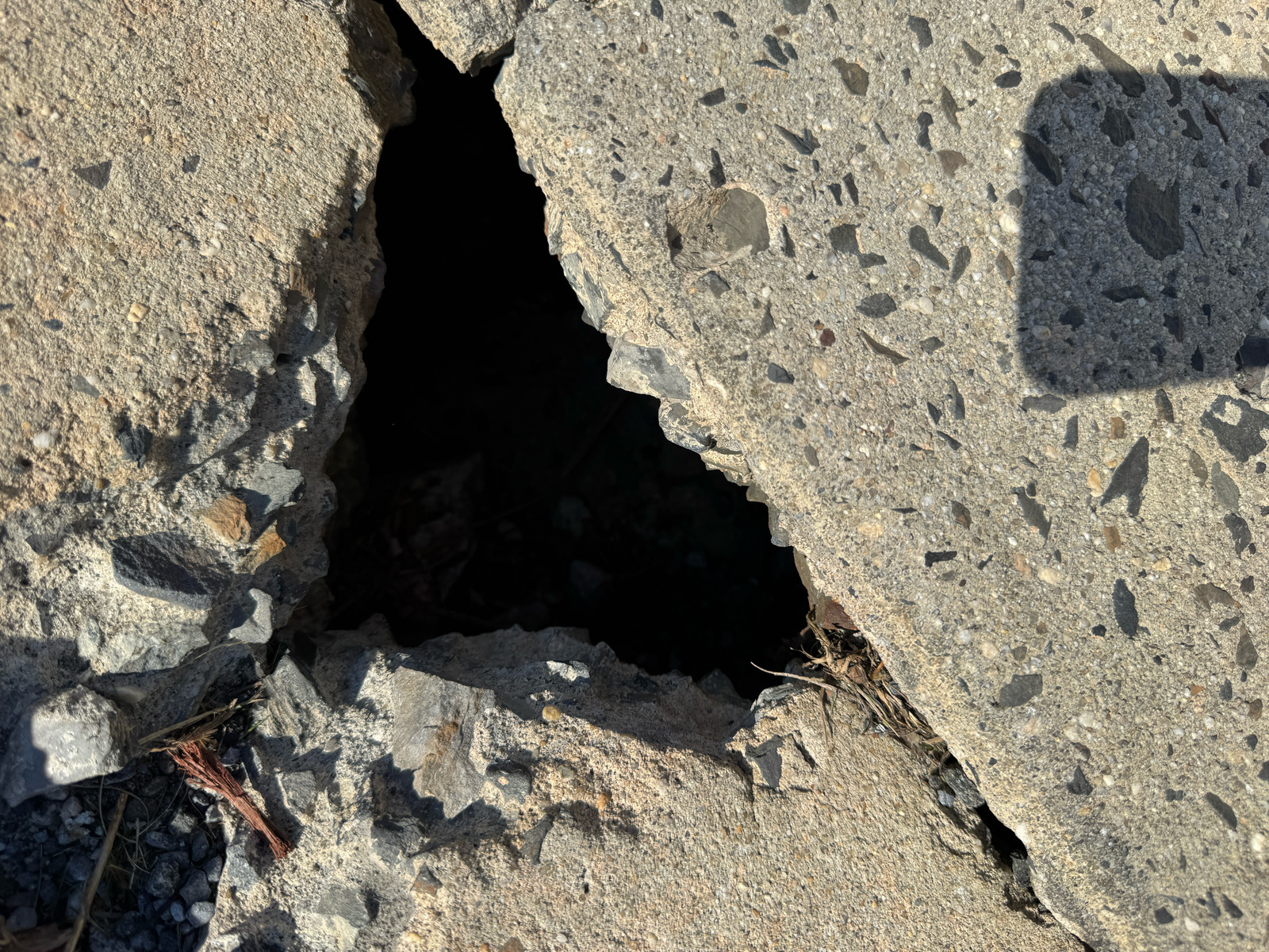 Photographic documentation of the work as submitted to the city's 311 record.