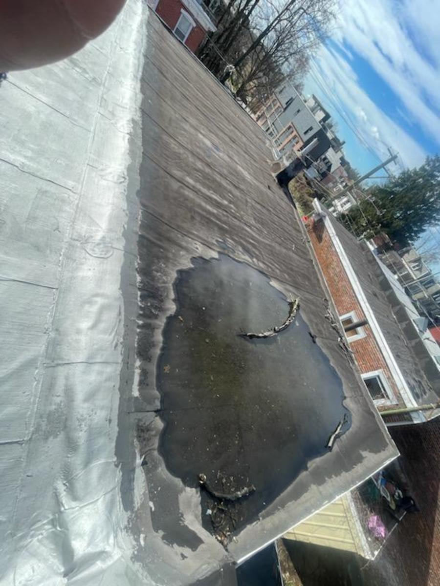 Photographic documentation of the work as submitted to the city's 311 record.