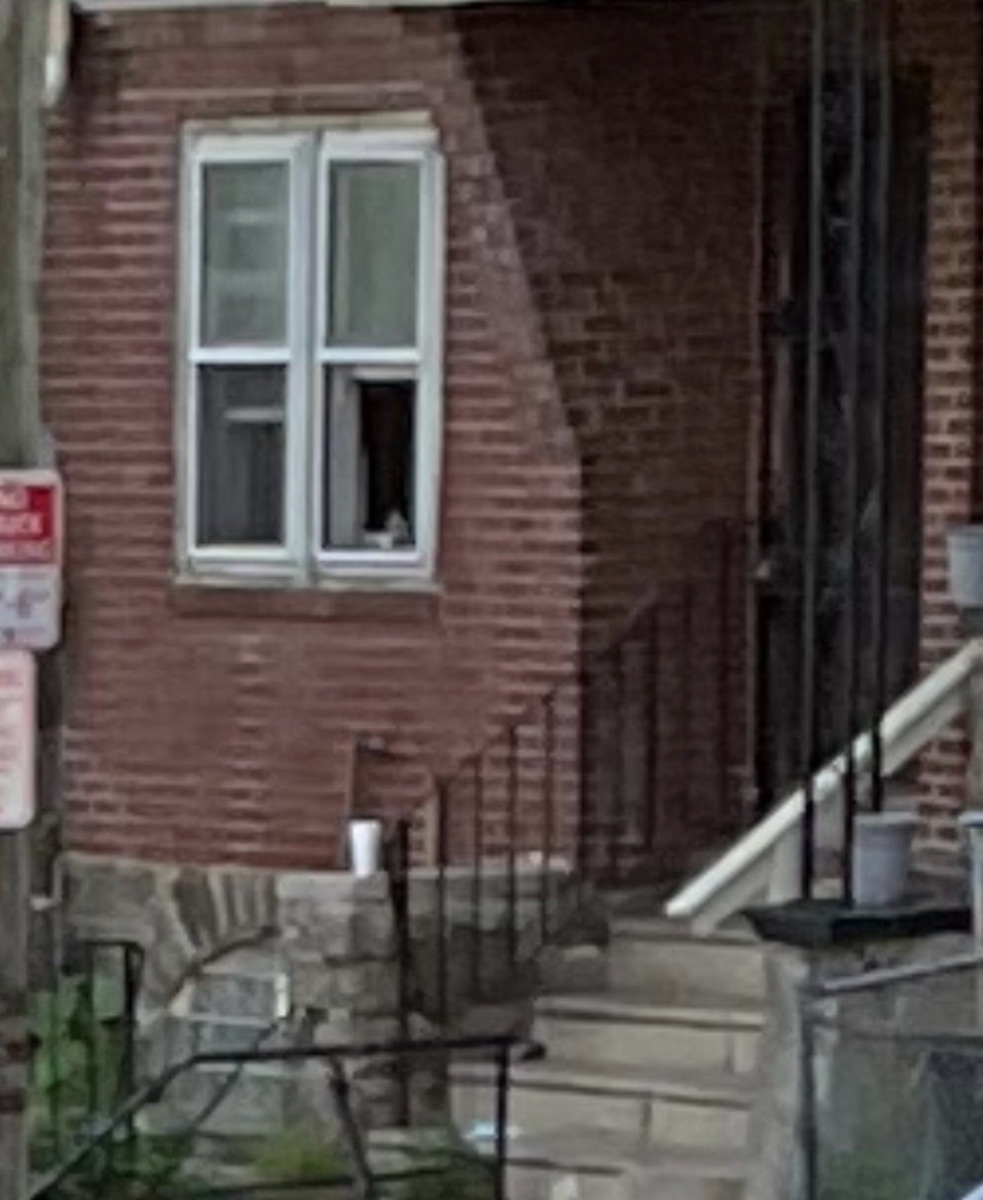Photographic documentation of the work as submitted to the city's 311 record.