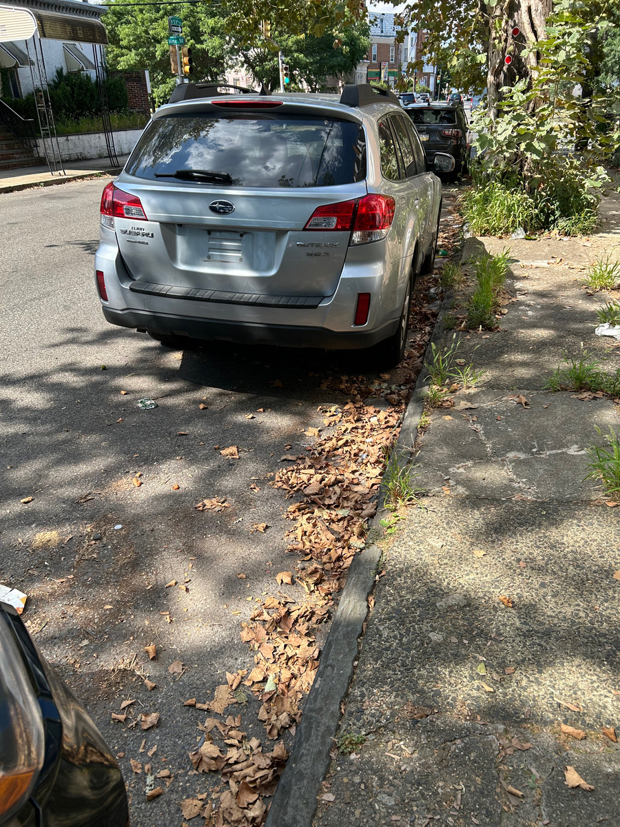 Photographic documentation of the work as submitted to the city's 311 record.