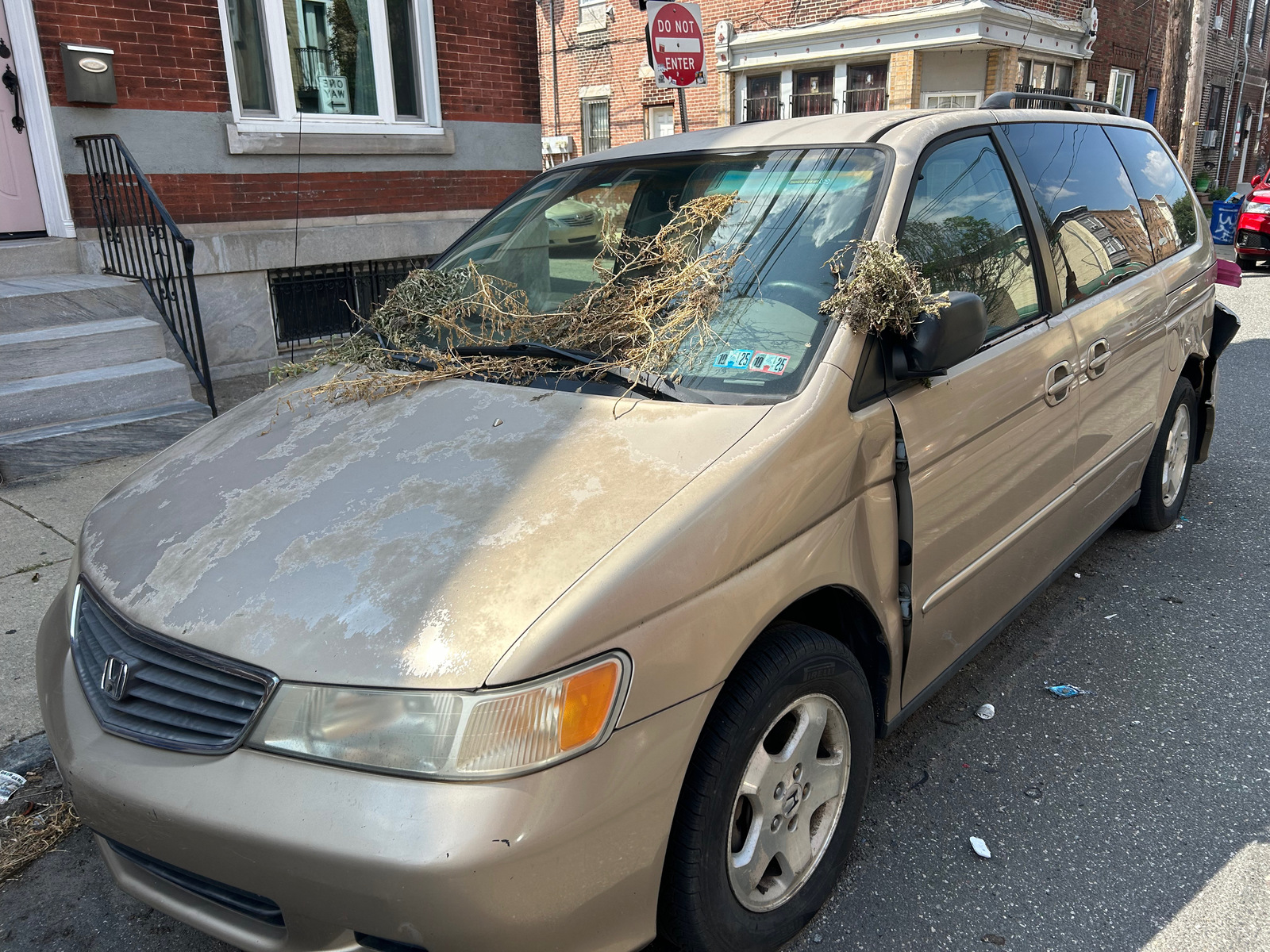 Photographic documentation of the work as submitted to the city's 311 record.