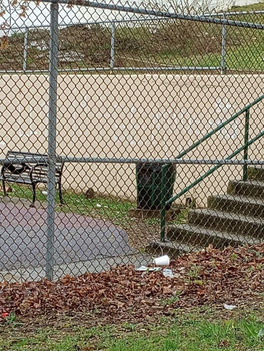 Photographic documentation of the work as submitted to the city's 311 record.