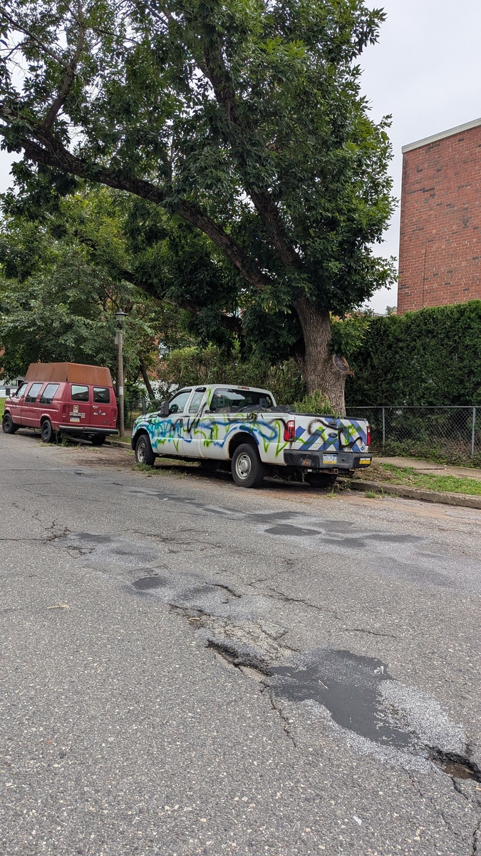 Photographic documentation of the work as submitted to the city's 311 record.