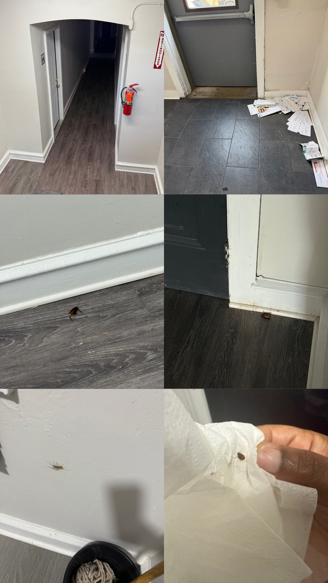 Photographic documentation of the work as submitted to the city's 311 record.